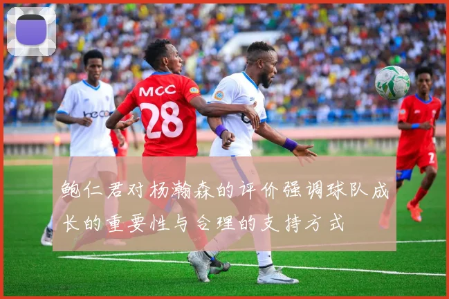 鲍仁君对杨瀚森的评价强调球队成长的重要性与合理的支持方式