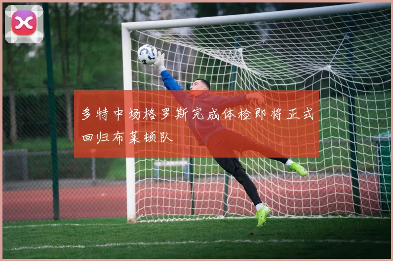 多特中场格罗斯完成体检即将正式回归布莱顿队