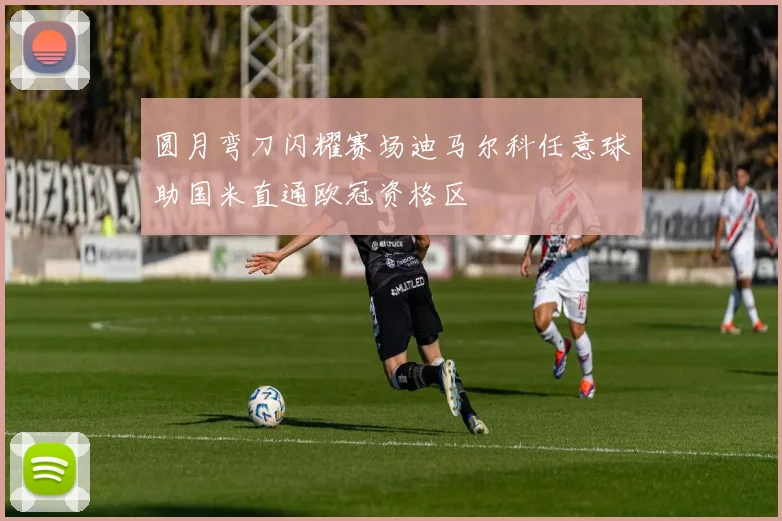 圆月弯刀闪耀赛场迪马尔科任意球助国米直通欧冠资格区