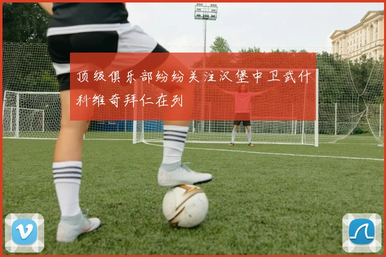 顶级俱乐部纷纷关注汉堡中卫武什科维奇拜仁在列