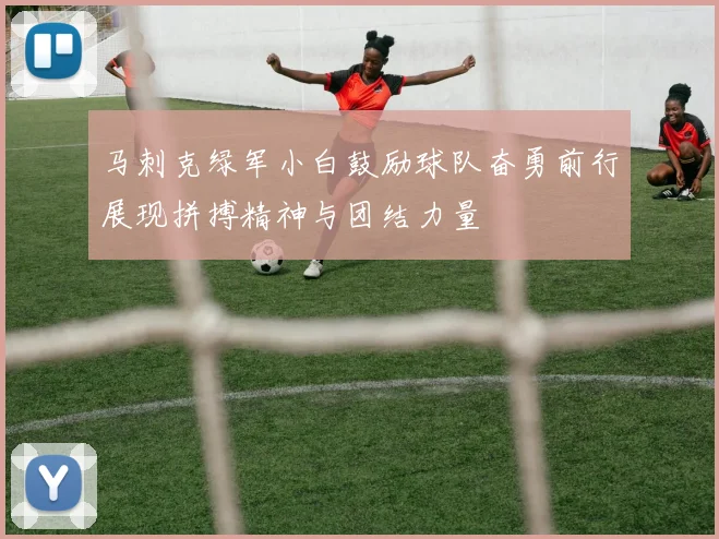 马刺克绿军小白鼓励球队奋勇前行展现拼搏精神与团结力量